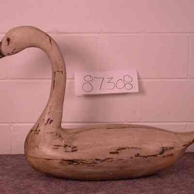 Swan