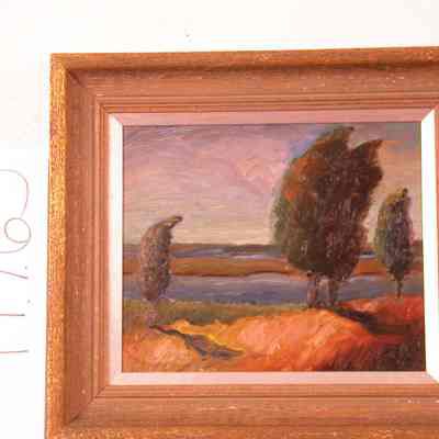 Cedar in Summer
