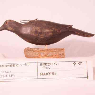 Crow
