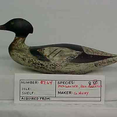 Red-breasted Merganser - Drake