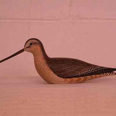 Yellowlegs