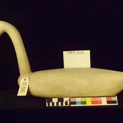 Swan
