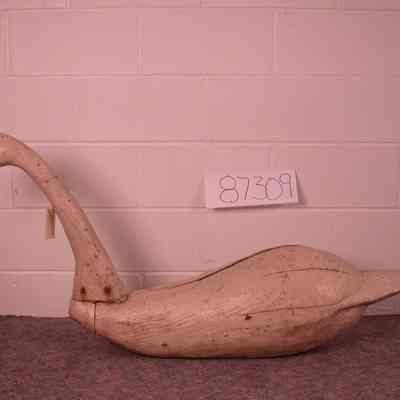 Swan