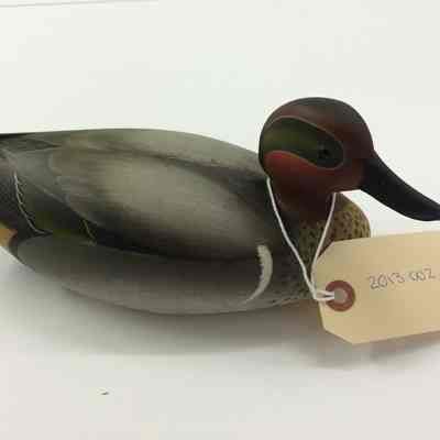 Greenwing Teal