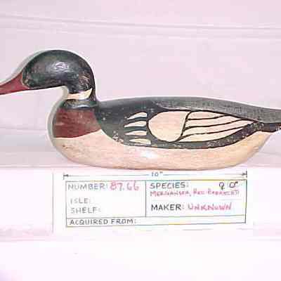Red-breasted Merganser -Drake