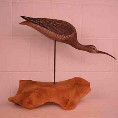 Curlew