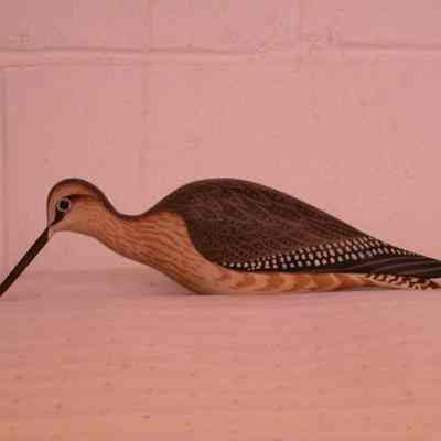 Yellowlegs