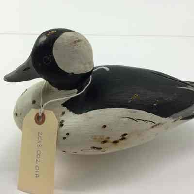 Bufflehead (One of a Pair)