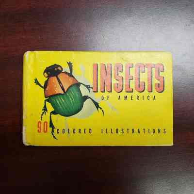 PROP LOAN [Book] "Insects of America", 1937, Yellow Green Red