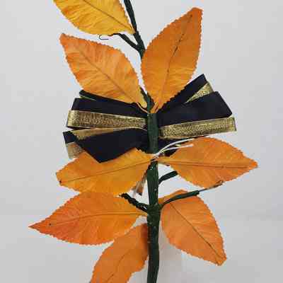 View of Corsage, Reverse