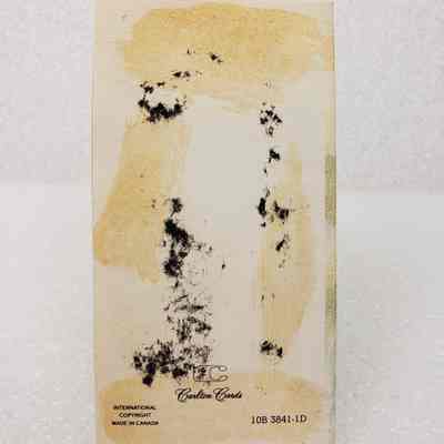 View of Card, Back Cover