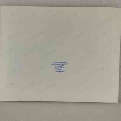 View of Photograph, Back