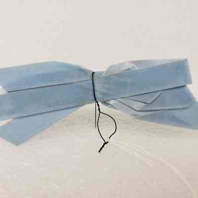 View of Ribbon, Front