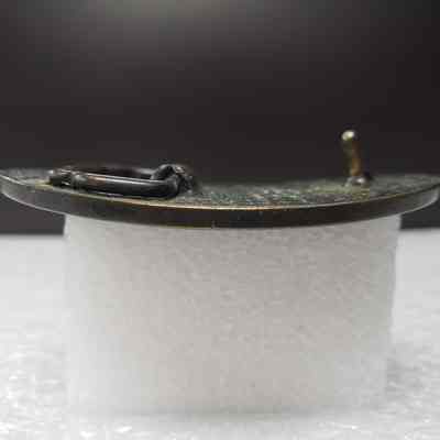 [Belt Buckle] Champion Northwestern Chemicals Ltd., Antique-Bronze - Side: View from the side.
