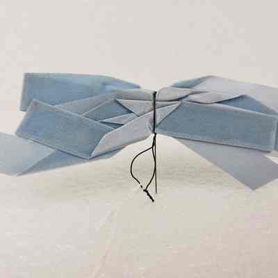 View of Ribbon, Back