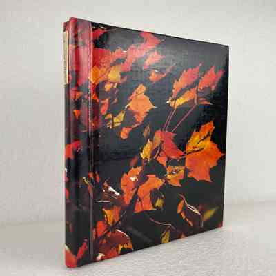 [Sticker Album] Photo Album, Assorted Stickers