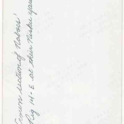 Scan of Photograph, Reverse