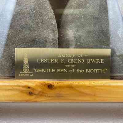 Close-Up of Plaque