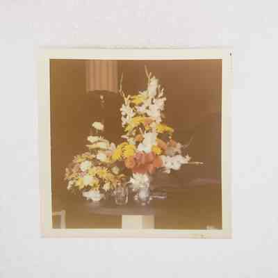 [Photo] Bouquets of Flowers, Instant Film, Square, c.1971