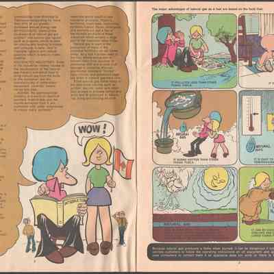 Pages 2-3