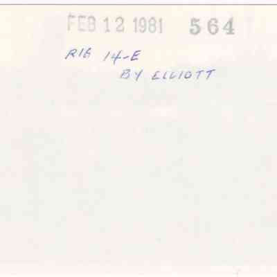 Scan of Photograph, Reverse