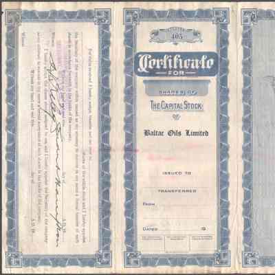Scan of Share Certificate, Reverse