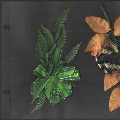 Scan of Scrapbook Page In Situ
