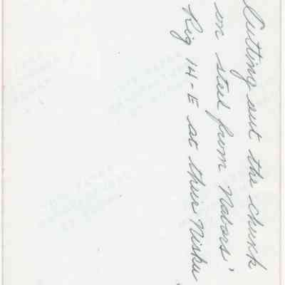Scan of Photograph, Reverse