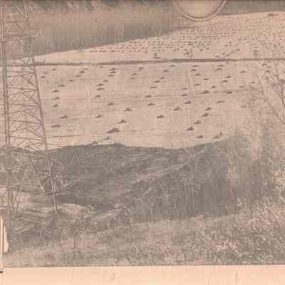 Front Cover, Lower-Half
