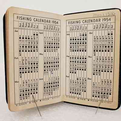 View of Planner, Back Interior Pages