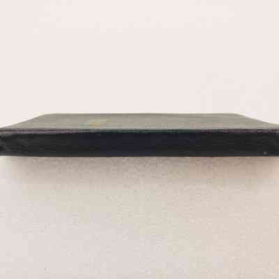 View of Planner, Spine
