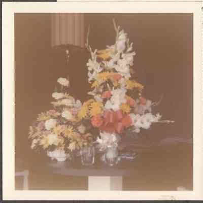 Scan of photograph