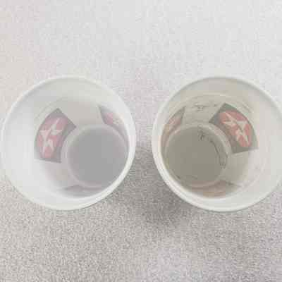 [Cup] Texaco Plastic Set of 2, White Black Red - Interior: View of interior