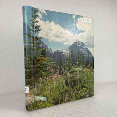 [Sticker Album] Photo Album, Assorted Stickers