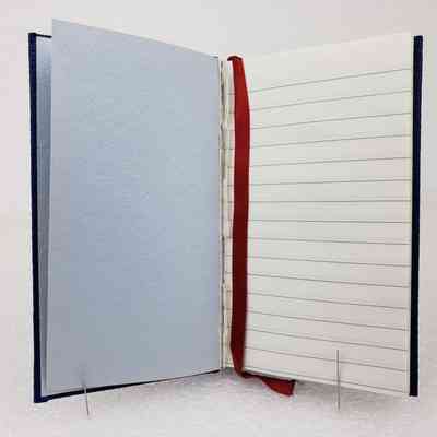 View of Notebook, Front Page with Ribbon