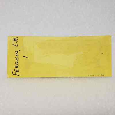 Reverse of ticket