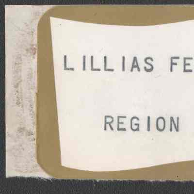 Scan of Name Tag