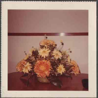 Scan of Photograph