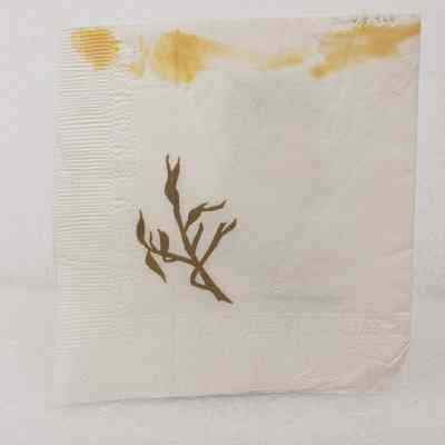 View of Napkin, Back Folded