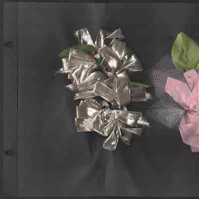 Scan of Scrapbook Page In Situ