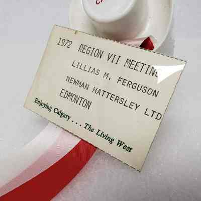 VIew of Name Badge