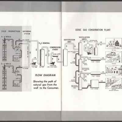 Pages 8-9
