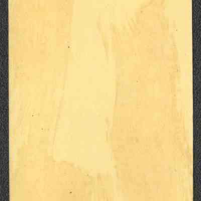 Scan of reverse of ticket