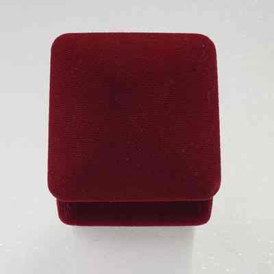 Case, back view, straight-on, open