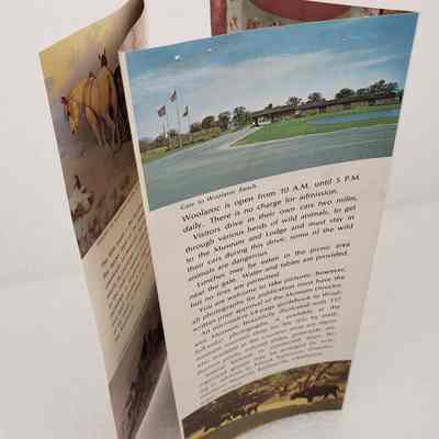 Angled View of Pamphlet