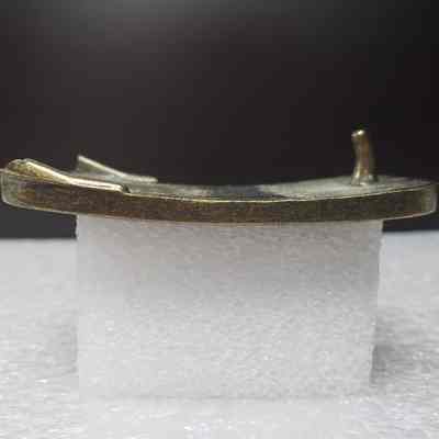 [Belt Buckle] B&R Transport Ltd., Leather Antique-Bronze - Side: View from the side.