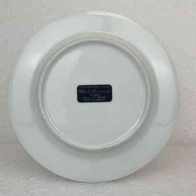 View of Plate, Back
