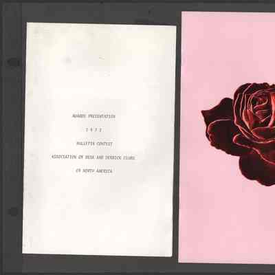 Scan of Scrapbook Page In Situ