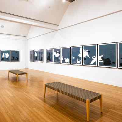 Virginia Museum of Contemporary Art