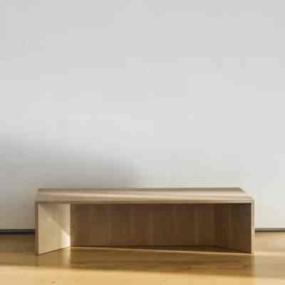 The Menil Collection